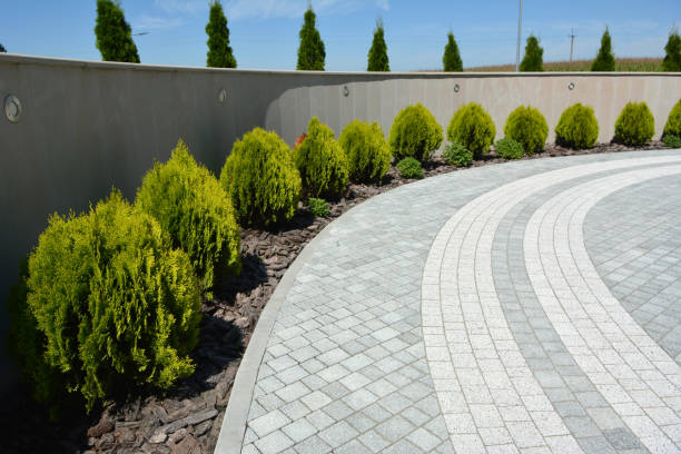 Best Driveway Paver Repair  in Otsego, MN